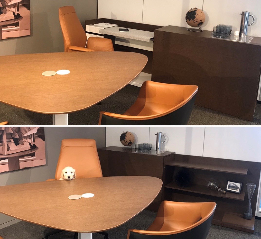 Price Modern tweet media