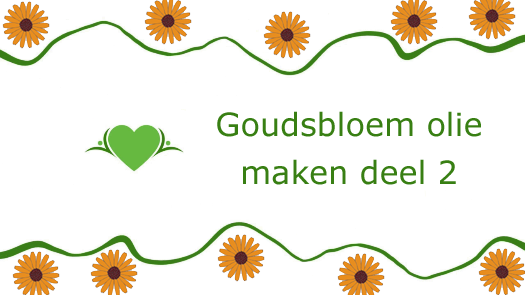 Vandaag heb ik de tweede video over het maken van Goudsbloem olie geupload. youtu.be/bCe7yFESKOs #goudsbloem #calendulaofficinalis #kruidenleer #geneeskrachtigeplanten #plantenliefde #goudsbloemolie #kruidengeneeskunde