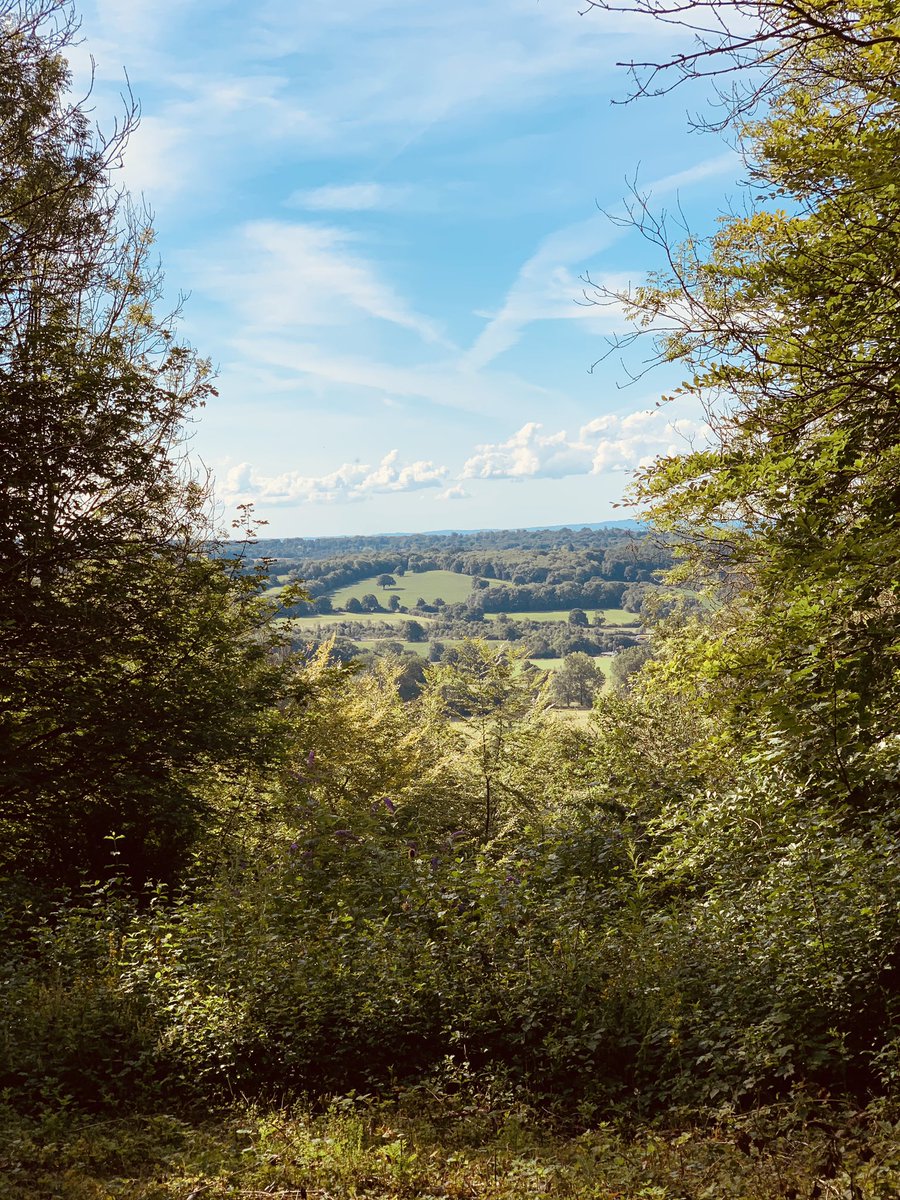 RaesGarden's tweet photo. Walking has been the best therapy for me recently - some pictures of moments that made me feel present and awake💚 #walking #green #surrey #kent #GetOutThere https://t.co/t72JsNiOIQ