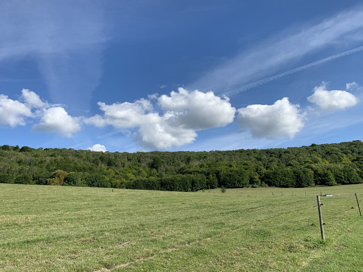 RaesGarden's tweet photo. Walking has been the best therapy for me recently - some pictures of moments that made me feel present and awake💚 #walking #green #surrey #kent #GetOutThere https://t.co/t72JsNiOIQ