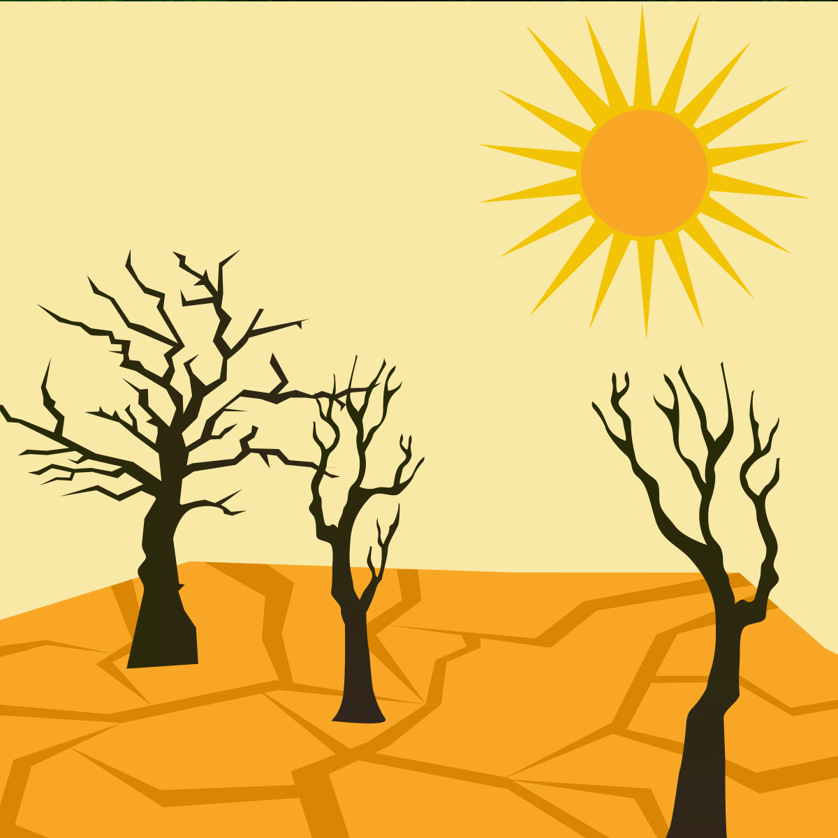 PakistanElf's tweet photo. Apart from increased heatwaves and flooding, global warming also affects plant biodiversity—it even alters the way plants grow.
#GlobalWarming #ClimateChange #ClimateChangeConsequences #ClimateEmergency #ClimateCrisis #ClimateAction https://t.co/w7P7kus0UT