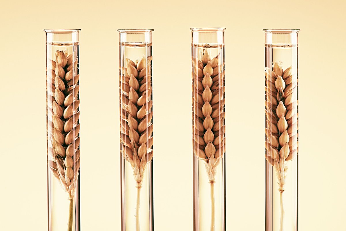 1. LChG Twitter Posterkonferenz der GDCh-Fachgruppe Lebensmittelchemische Gesellschaft: 14.&amp;15. September 2020. Posterbeiträge können noch bis zum 16. August eingereicht werden. gdch.de/lchgposter2020 <a href="/ag_jlc/">AG Junge Lebensmittelchemie</a>