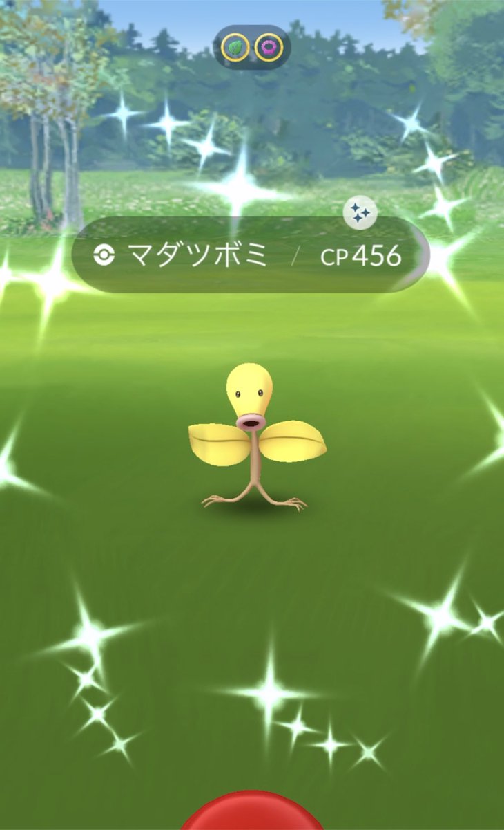 リト ポケモンgo マダツボミ色違い初日ゲット ウツボットが好きなのでウツボットにしたよ 六連星と両方出せてよかったーーー T Co Fyye96wvlv Twitter リト ポケモンgo マダツボミ色違い初日ゲット ウツボットが好きなのでウツボットにしたよ 六連星と両方出せてよかったーーー T Co Fyye96wvlv Twitter