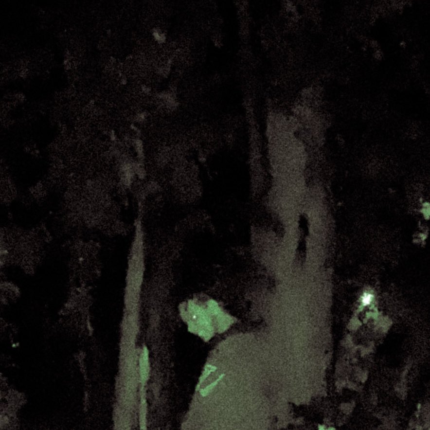 lifeofcuzzi's tweet photo. Ghoul Gala
Out Now!

🦠🧿 o,..,o

https://t.co/88UldMWswX https://t.co/VYp5pSDY9b