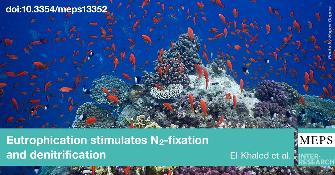 Marine Ecology Progress Series (MEPS) tweet media