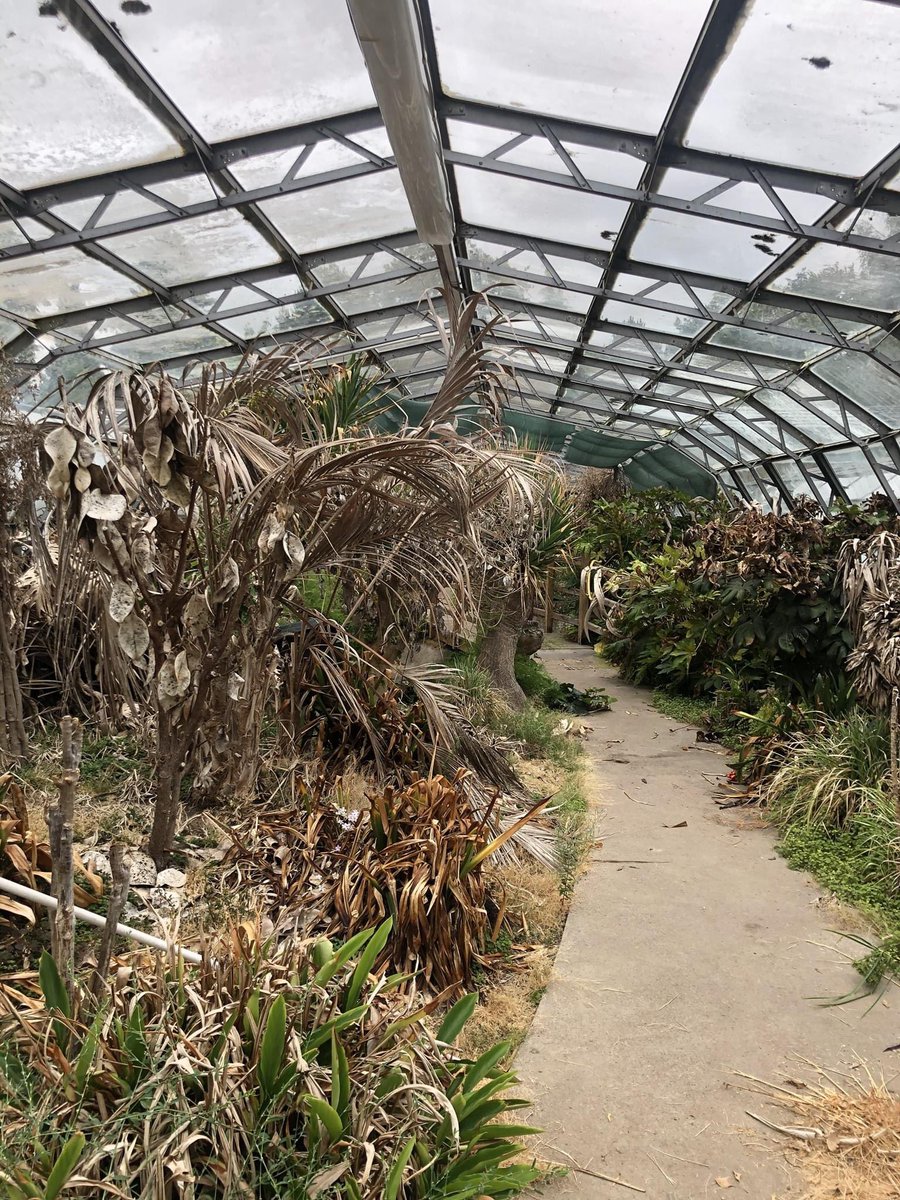 Viewpark Gardens Trust tweet media
