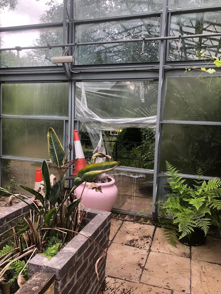 Viewpark Gardens Trust tweet media
