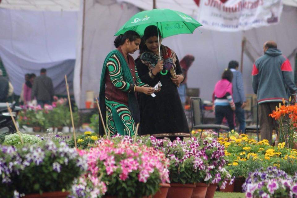 prchandna's tweet photo. #NoidaFlowerShow2015
#MyNoida
#NoidaStadium
#OldMemories
#Archives
#PushkarPhotography
#SaveNoidaForest
#SaveEnvironment
#SaveNoidaParks
@BJP4India https://t.co/Ohqt062d43