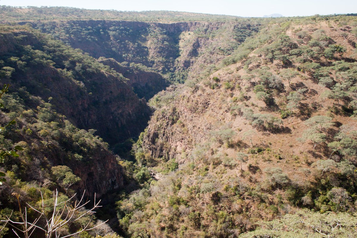 Chizarira National Park, "Home of the Hidden Gorges," is the third largest national park in Zimbabwe. The terrain is rugged and the mountains are deeply incised by gorges and ravines. This park provides a pristine wildlife and true African bush experience.
#travellocal