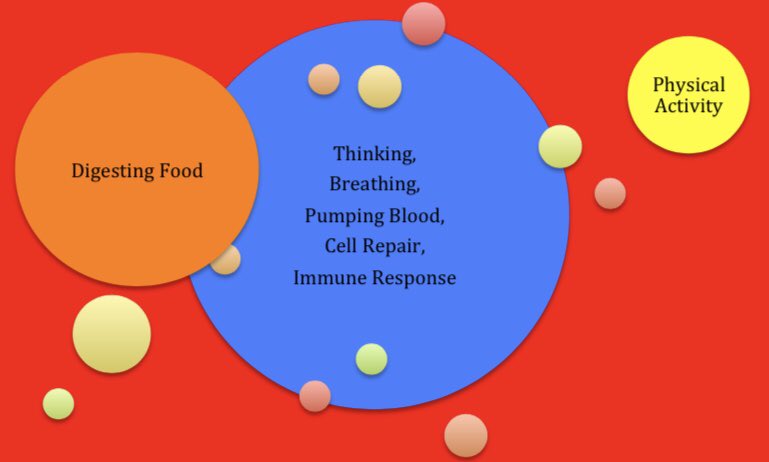 key2diet's tweet photo. How our bodies use energy

#BodyFunctions
#Digestion
#Movement
#BodyFat6 https://t.co/7eCYV0C0ph