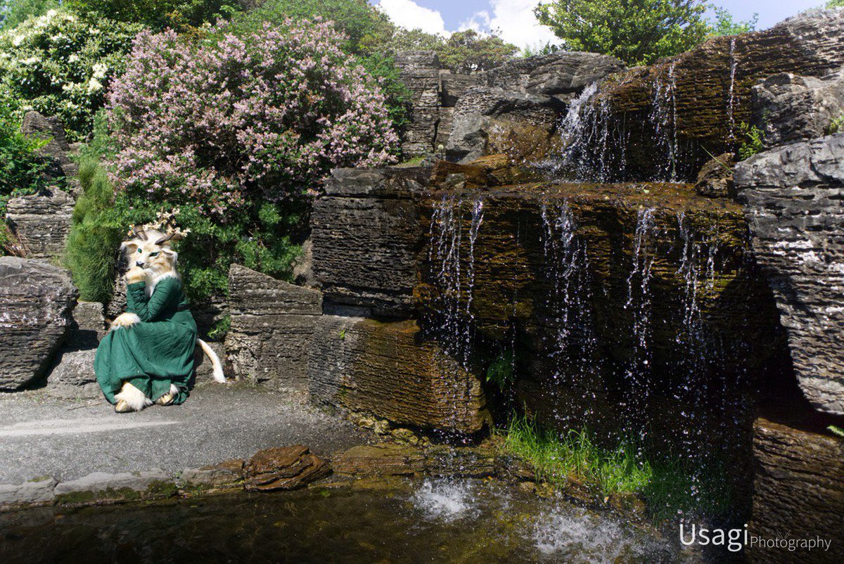 Wolftale's tweet image. #FursuitFriday is here!
Last summer photo shoot with @UsagiiKun_ /@UsagiPhoto ❤️
Suit by @clckwrkcreature #ClockworkCreature #ForestSpirit