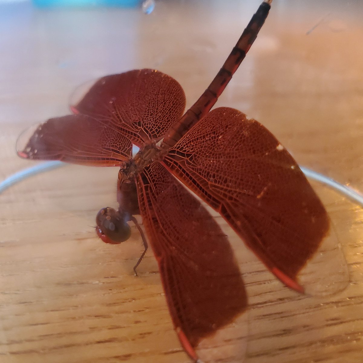 KnightsFidelium's tweet photo. Things happen suddenly which may be too hard to believe to be true for they are shrouded with mysteries. https://t.co/CzsGumd1jG