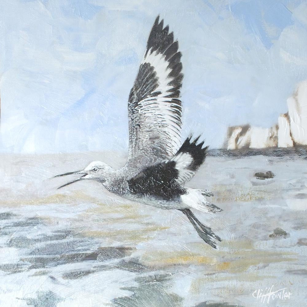 Cliff Towler (@clifftowler) on Twitter photo 