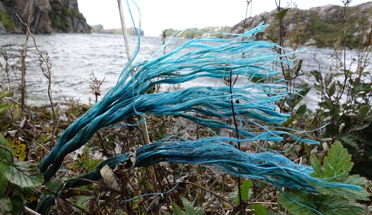 Dette er plastsøpla du finner mest av på strendene dlvr.it/RbpHBd