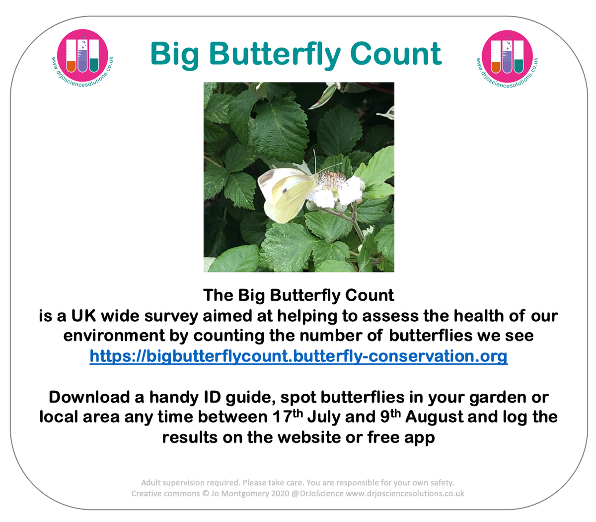 DrJoScience's tweet photo. #Day117 #ScienceActivity
Get involved with one of my favourite #CitizenScience projects with the #BigButterflyCount starting today until 9th August 
You just need to watch for 15 minutes and record the 🦋 you see
https://t.co/tVKnk9Vh6g 
#ScienceFromHome #ScienceInYourGarden https://t.co/j6bW8RB7L6