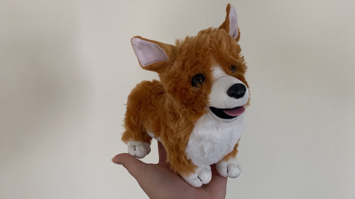 raphaelthecorgi tweet picture