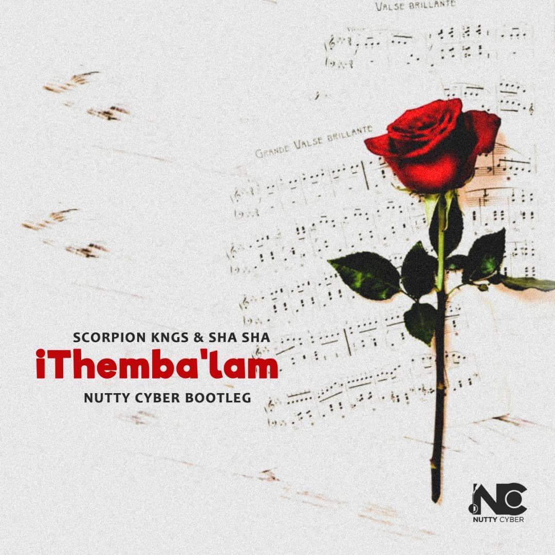 mix_tuesday's tweet photo. Out now !! Scorpion Kings x Sha Sha - iThemba'lam(Nutty Cyber Bootleg)🔥🔥😊

Streaming links 
YouTube link 
https://t.co/Yznq7908hB

Soundcloud link :
https://t.co/i0cfbqv73Q

Download link 
https://t.co/Vd70E19QkU https://t.co/BKFu6f0C9e