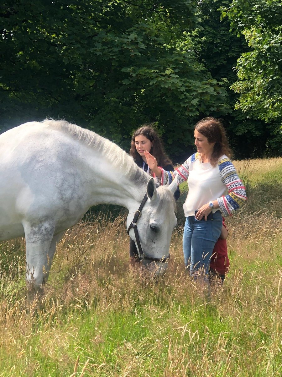 MerPolMounted's tweet photo. 2/2 Ned has 4 calves in his field, but will soon have a pony companion as well. We will be given regular updates about Ned, which we will share with you all. His big personality will be missed on the yard, but we know he will have a lovely retirement. #StandTall #PHNed https://t.co/02cg4KtSAz