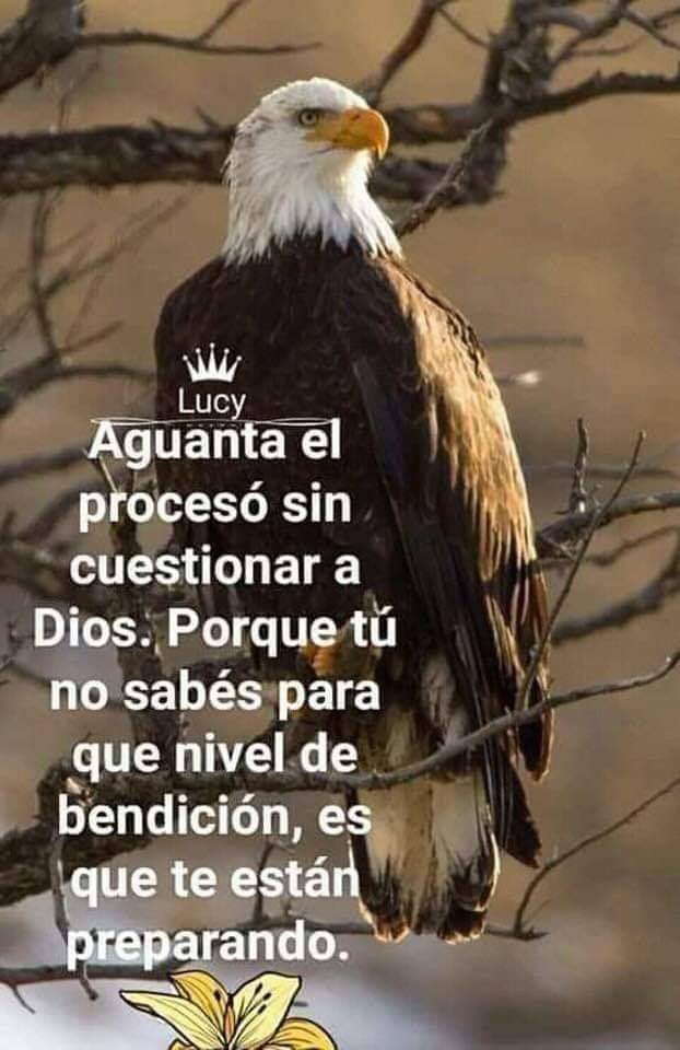 adavirs's tweet photo. Dios es fiel https://t.co/o7PeiyrHpF