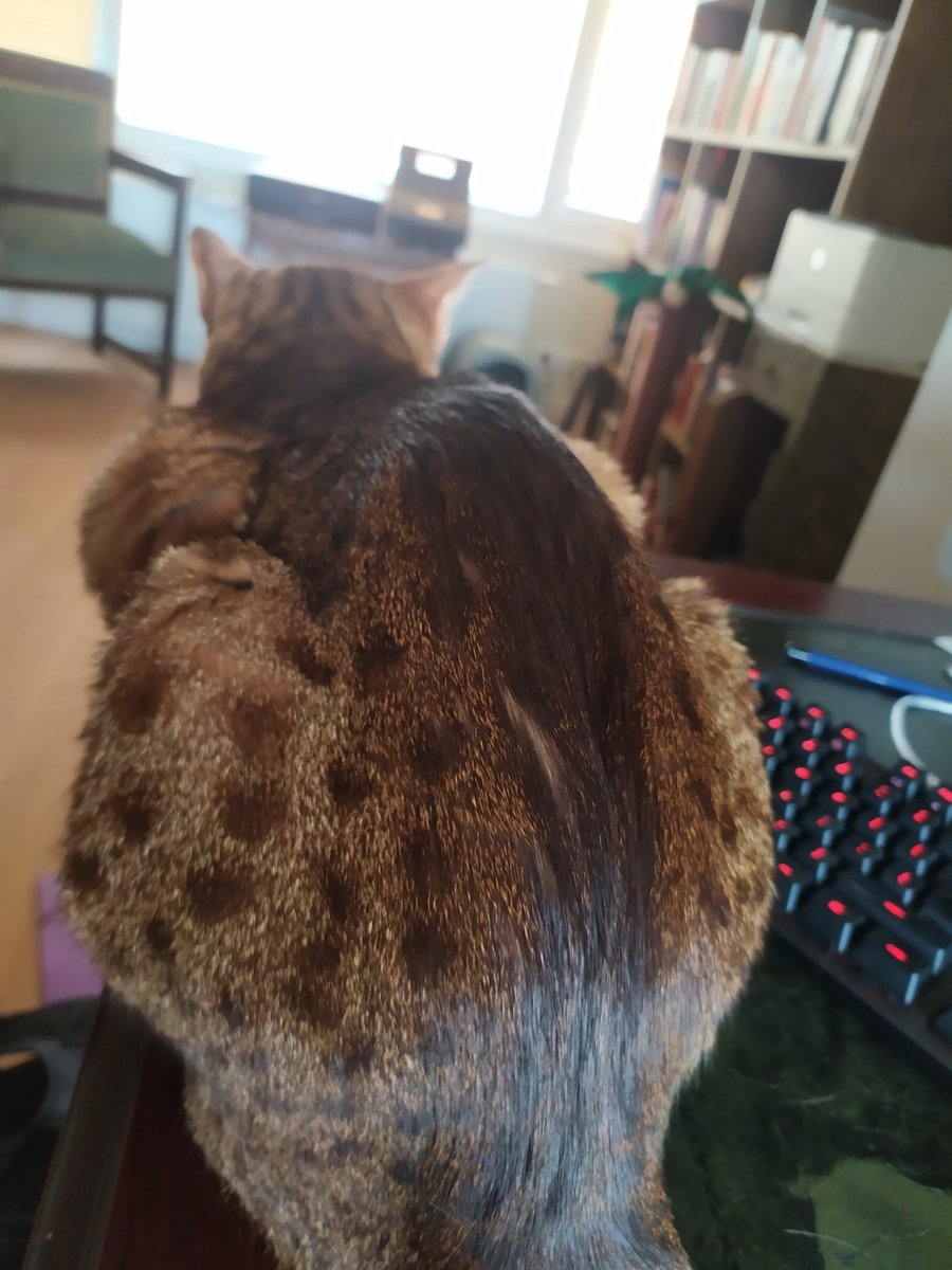 Brenno de Winter tweet media