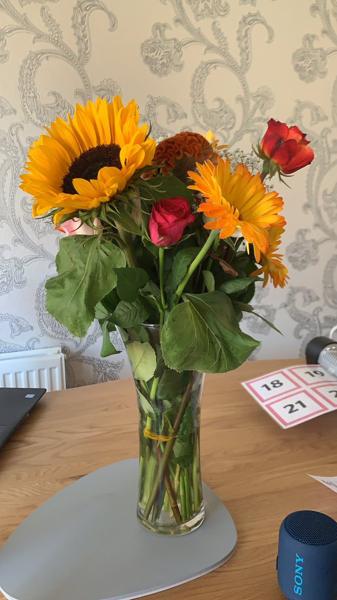 Miss_Wright19's tweet photo. The most beautiful end of year gift brightening up my day while I attend online training and do some September prep. #grateful #positivity https://t.co/7RVJ409Prg
