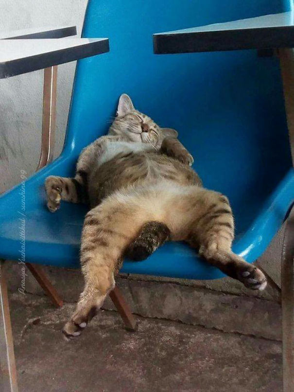 when it's the weekend