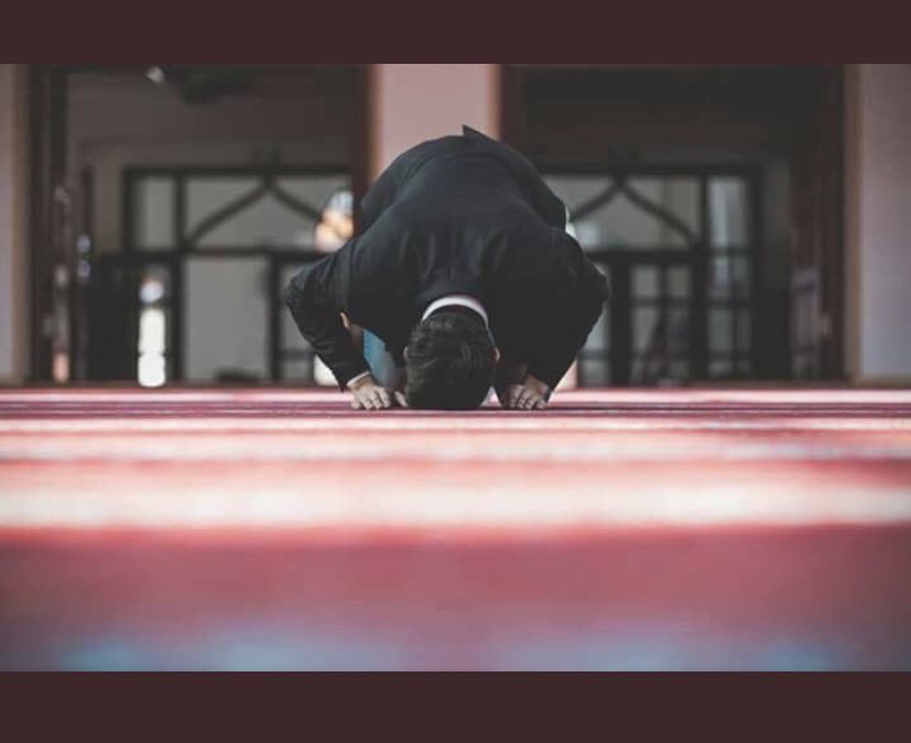 #يوم_الجمعه خيراً تعمل ليس شراً تلقى ! 
بل ؛ ستراً تلقى ،أجراً تلقى ، فرجاً تلقى ،
قد ينسى الناس ولكن رب الناس لا ينسى ..🤍🌿.
_ اللهم صل وسلم على نبينا محمد💛'