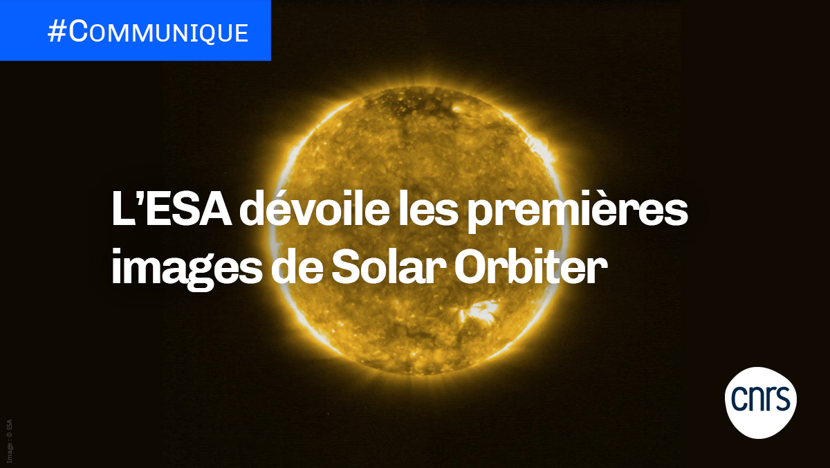 #Communiqué 🗞️ | Les premières images prises par #SolarOrbiter, la nouvelle sonde d’exploration du Soleil de l’@ESA_fr, viennent d’être dévoilées par l’agence spatiale européenne. ➡️ cnrs.fr/fr/lesa-devoil…