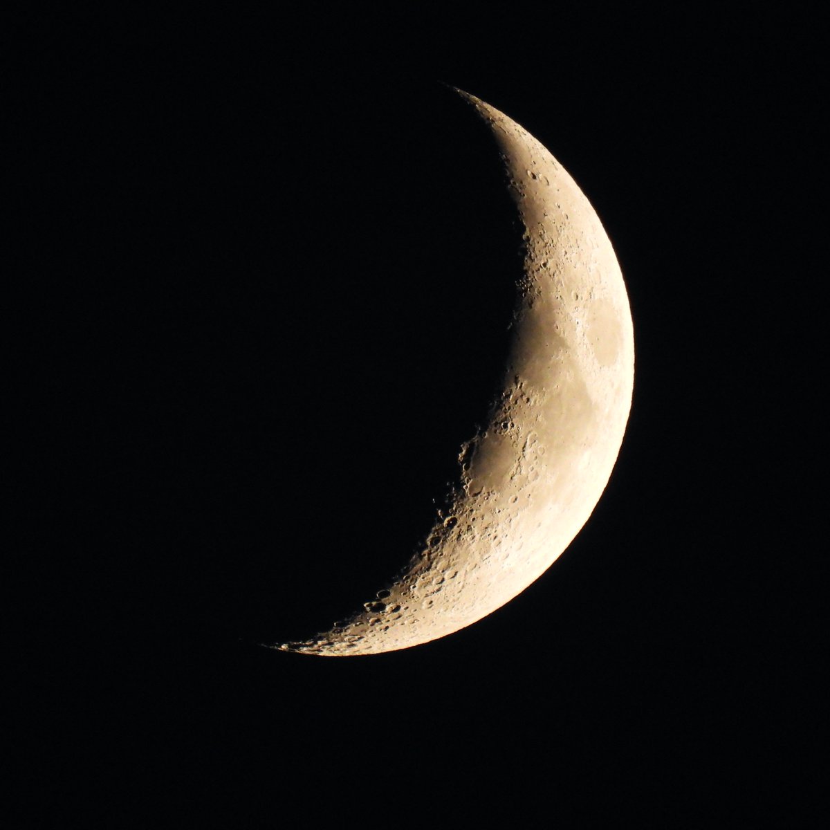 Melissa Cole tweet media