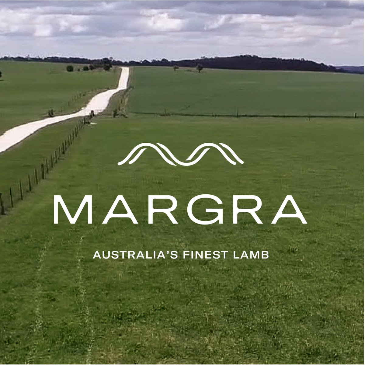 margra_lamb's tweet photo. Australia’s finest Lamb. Two brothers. One Vision. Bred for chefs. Finely micro-marbled. Superior eating quality #margralamb #australiasfinestlamb #deliciousfood #deliciousfat #lowmeltingpoint #eatibility #finefood #tattykeelaustralianwhites https://t.co/hdgcIqa9kE