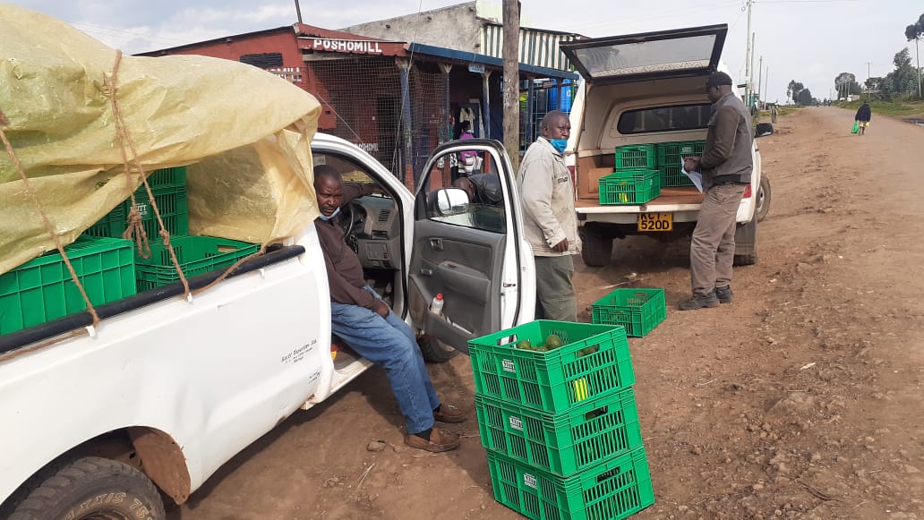 ImmaculateMaina's tweet photo. Congratulations to Wakulima Avocado  Self Help Group of Murindat on sale of your first avocado crop since planting in 2018. #NakuruCountyAvocado. @NakuruCountyGov @NakuruAgriCall https://t.co/piyP5oWJ3n