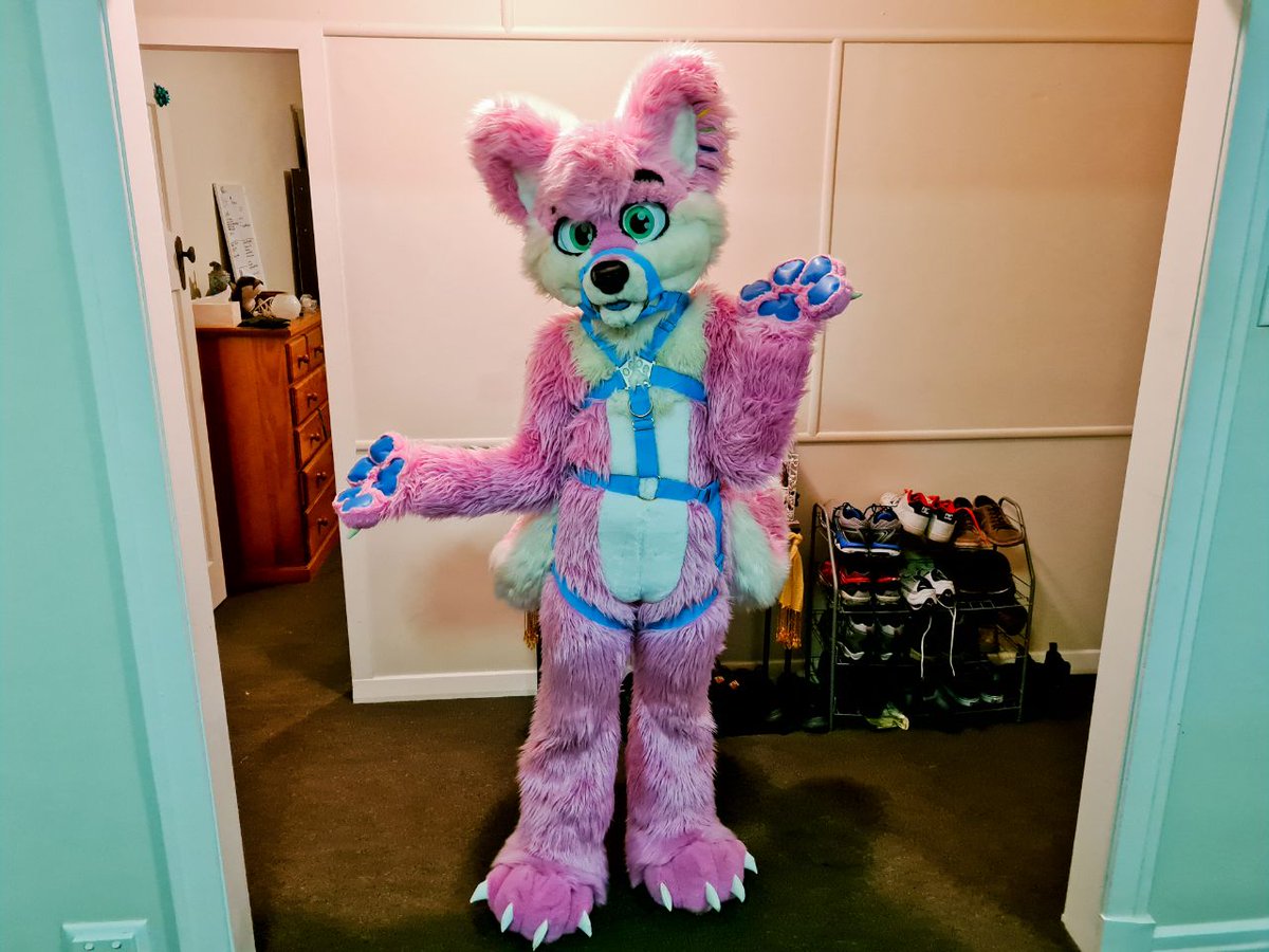 So guess who received a harness today ♥️♥️♥️

#FursuitFriday