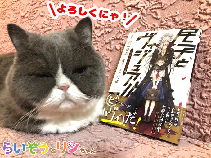 公式 ねこがあらわれた チーム行徒infoさん の最近のツイート 3 Whotwi グラフィカルtwitter分析 公式 ねこがあらわれた チーム行徒infoさん の最近のツイート 3 Whotwi グラフィカルtwitter分析