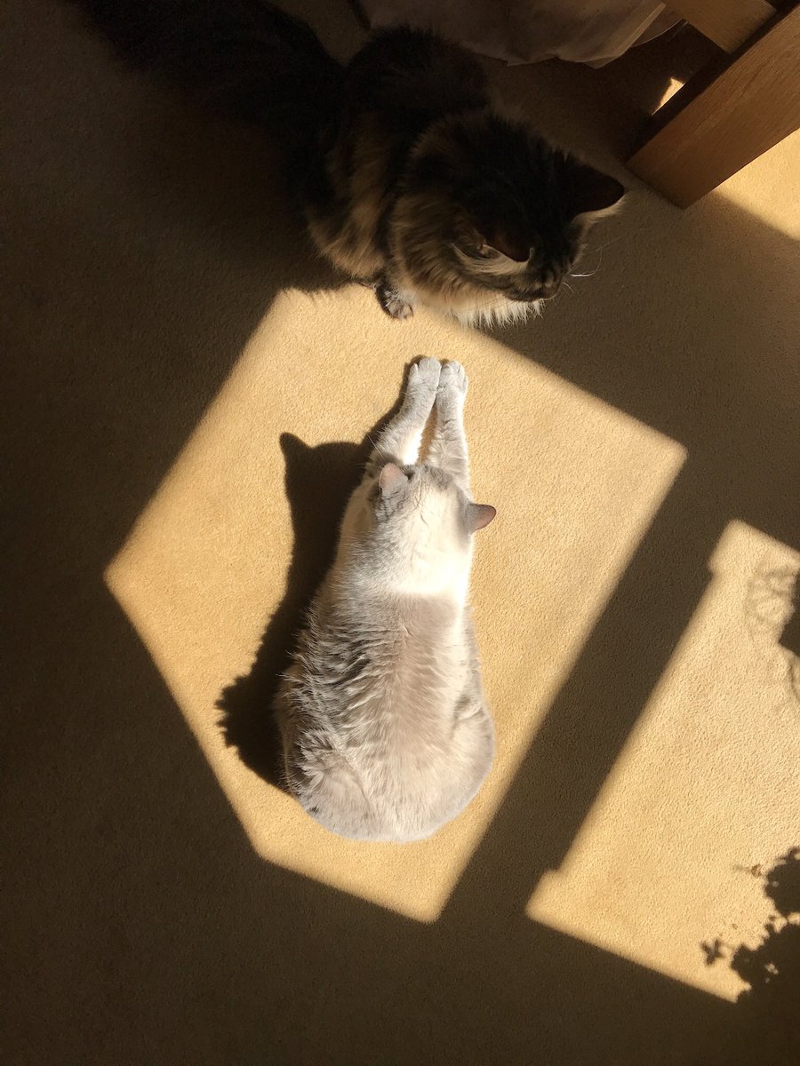ghizalaavan's tweet photo. @Number10cat @imageplotter https://t.co/uDHVv71kJo