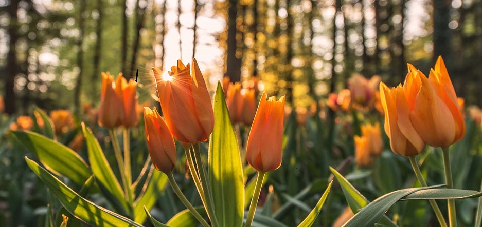 greenwayhotel's tweet photo. Fancy a summer staycation? Dinner & afternoon tea served in The Garden Room Restaurant or our sun drenched terrace, or choose a picnic afternoon tea in our beautiful grounds.… https://t.co/UPtjTzYJag #staycationuk #cotswoldstourism #LoveEden #VistCheltemham #smallluxuryhotels https://t.co/6V62Peukj6