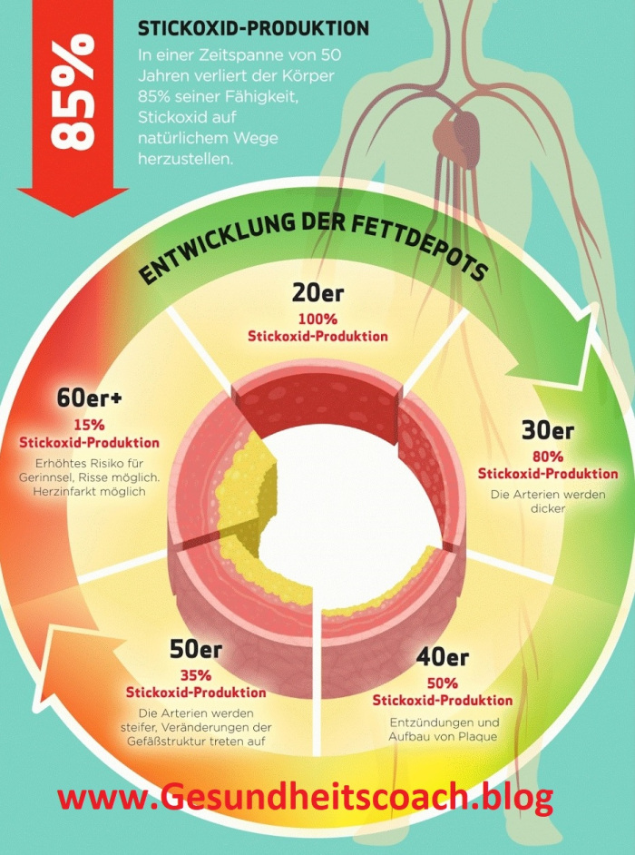Gesund_24's tweet photo. Sie haben Bluthochdruck?
https://t.co/TmE5IvLWzw
#Immunsystem #Medizin #Nobelpreis #corona #Gesundheit #Arginin #Chlorophyll #beauty #health #Blutdruck #Bluthochdruck #Synergy #ProArgi #Krebs #Schlaganfall #Herzinfarkt #Network #Nebenjob #Herz #Kreislauf #Wellness #Marketing https://t.co/oN6Mid9PYe