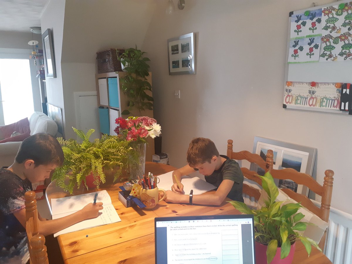 Plants are good for you wherever you work 
#homeschooling
#plantsatworkweek