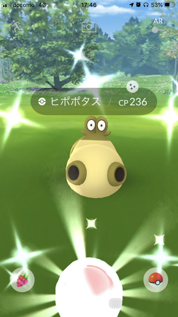 ヒポポタス Twitter Search ヒポポタス Twitter Search