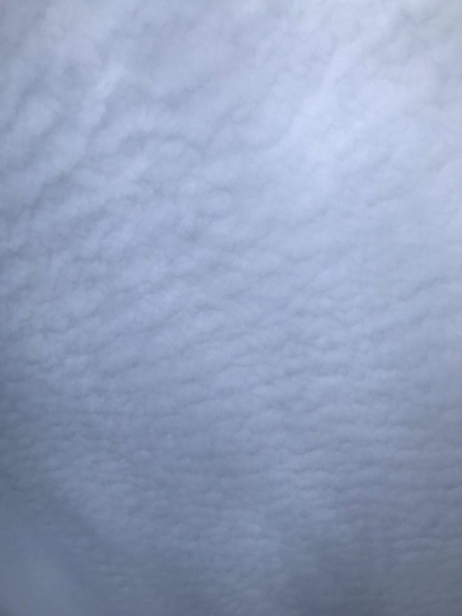 HankWH's tweet photo. If only my arms were long enough to reach up and feel the texture of my outdoor ceiling this morning! #workingman #cloudyvision #textures #theskysthelimit https://t.co/zS684e72fi