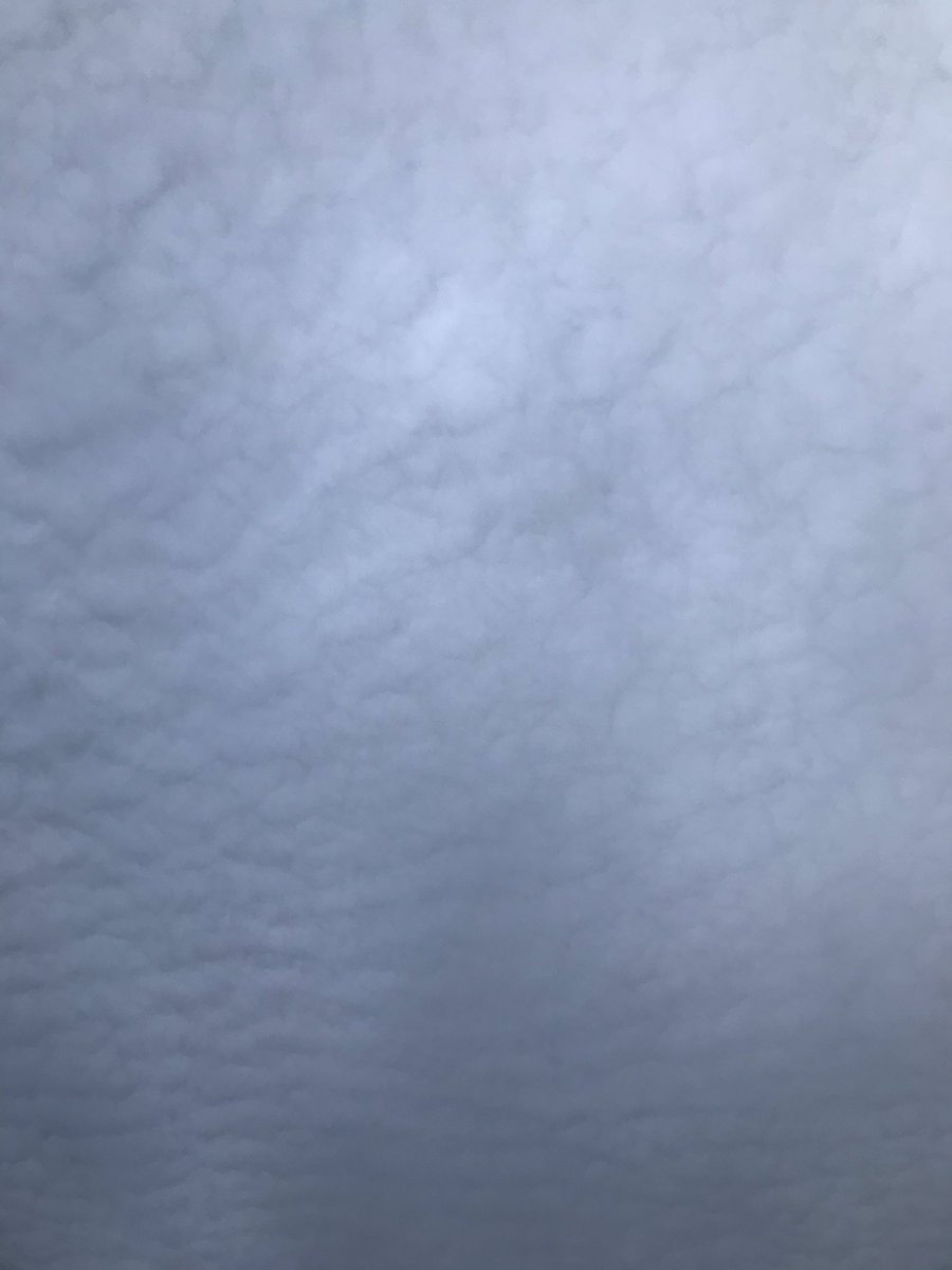 HankWH's tweet photo. If only my arms were long enough to reach up and feel the texture of my outdoor ceiling this morning! #workingman #cloudyvision #textures #theskysthelimit https://t.co/zS684e72fi