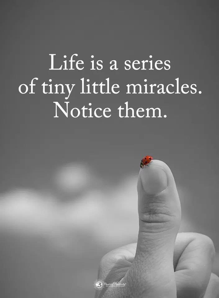 Life is a series of tiny little miracles. Notice them. ~ #Life