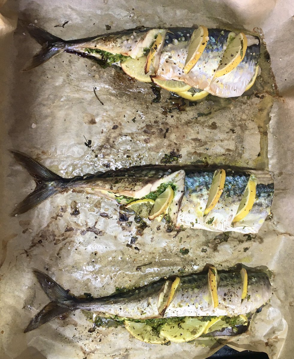 LunanBayFarm's tweet photo. Line caught wild Mackerel from Lunan Bay for lunch today thanks to our neighbour. Delish. #summerlovin #lunanbay #fromseatoplate https://t.co/n4xtp6nvyn