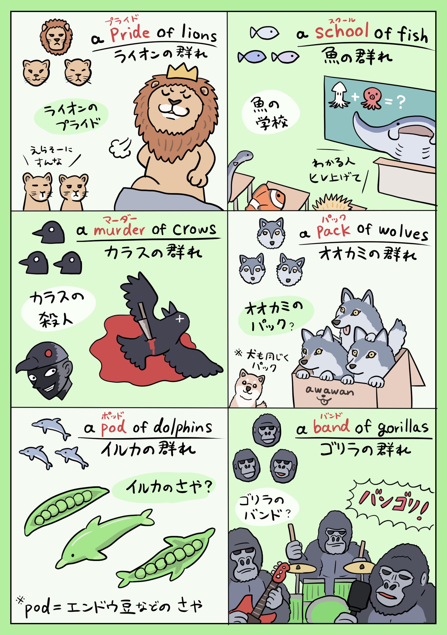 ぬまがさワタリ 英語で ライオンの群れ が A Pride Of Lions になったり 動物の 群れ を表すときの表現 集合名詞 Collective Noun が動物ごとにかなり多様で興味深いので いくつかイラスト化してみました 日常会話でお役立てください 無理かも