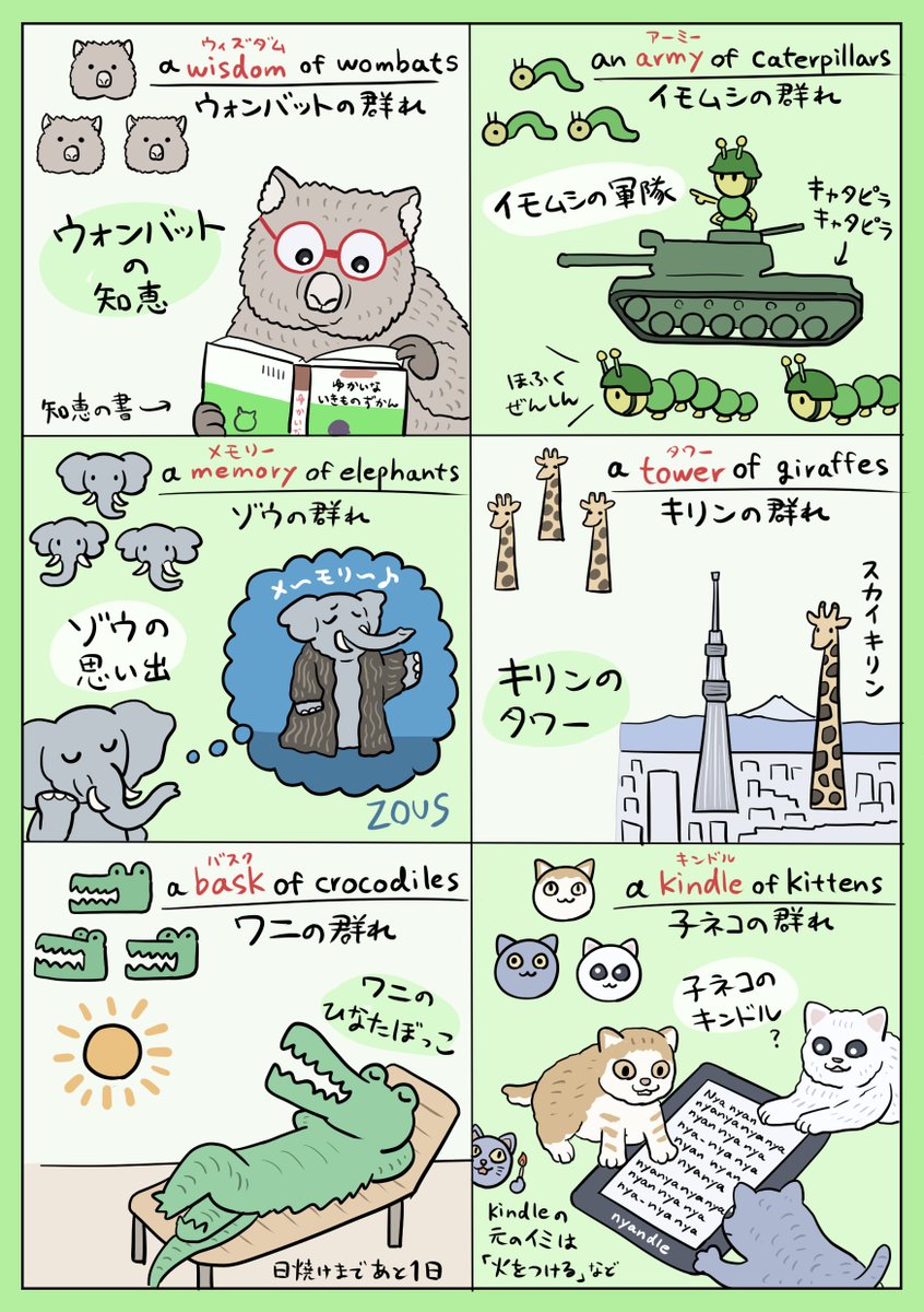 ライオンはプライド、キリンはタワー？!動物の群れを表す英語表現が面白い! 話題の画像プラス