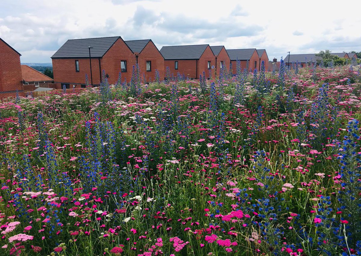 South Yorkshire Housing Association tweet media