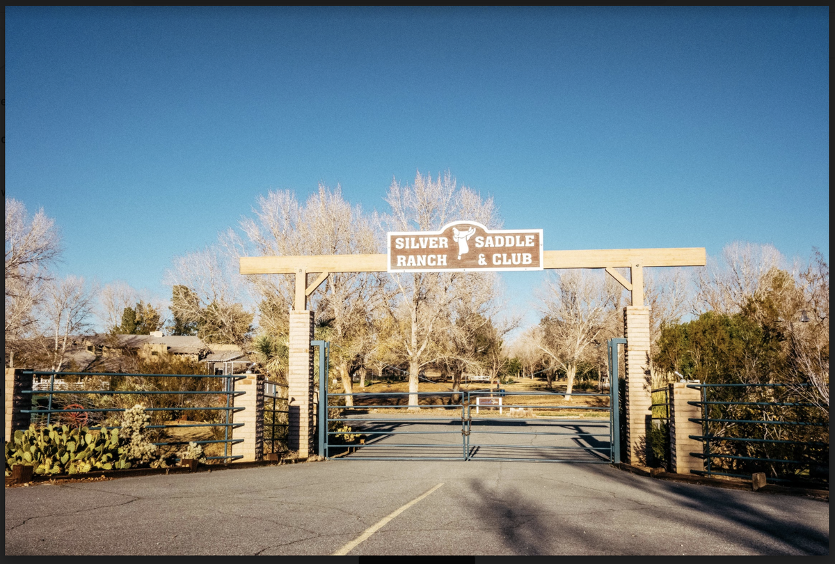 guerinemily's tweet photo. The first episode of my new podcast, #CaliforniaCity, starts in the summer of 2017, when one of Ben Perez's friends invites him to spend a free weekend at a resort in the Mojave Desert. He says he had no idea there was a mandatory sales tour. https://t.co/MxuYWcwNrV