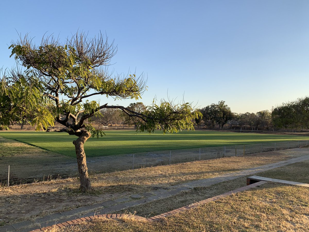 Golden Eagles FC tweet media