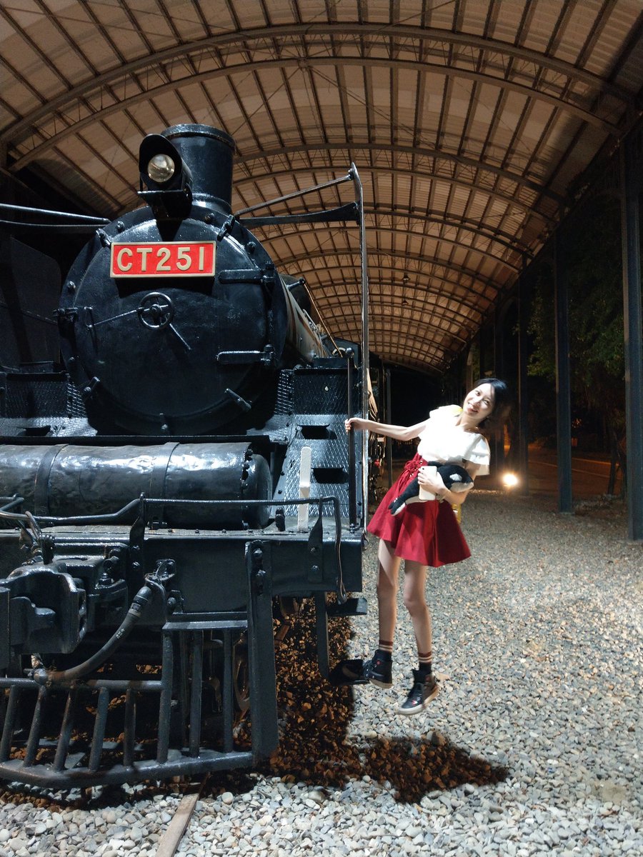 OrionWolver's tweet image. D51 only one in taiwan
(Japan made in WW2)