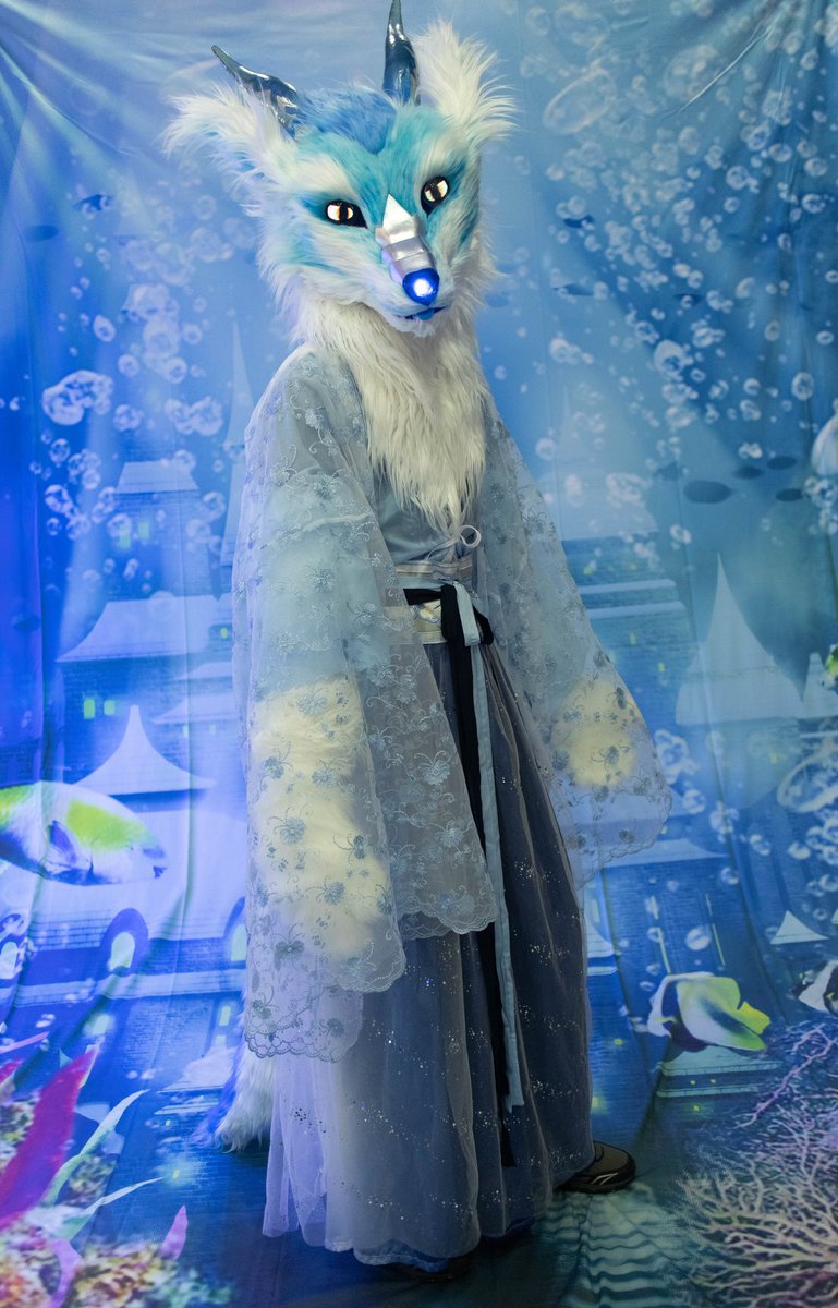 OrionWolver's tweet image. 極光
吉娃娃光