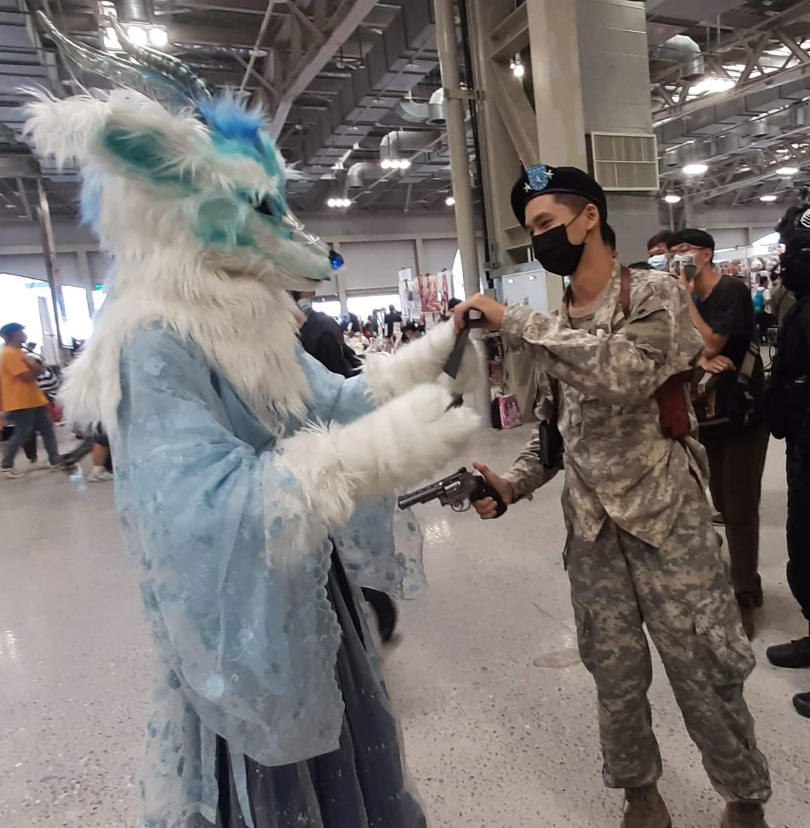 OrionWolver's tweet image. 極光
吉娃娃光